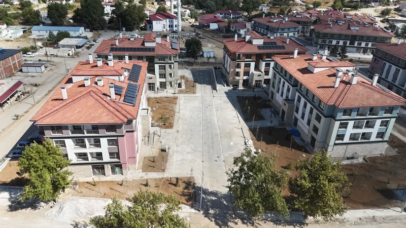 Proje sahasından ekinozu detay